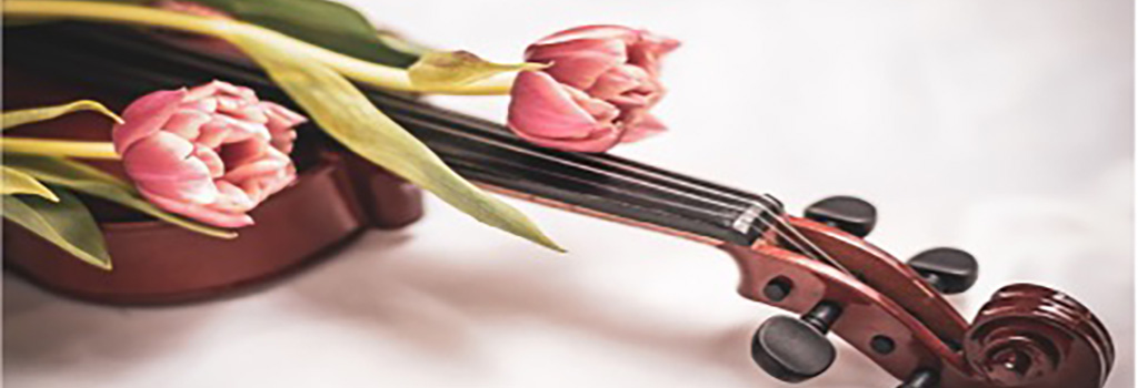 May Concert Header Image of Flowers and Violin